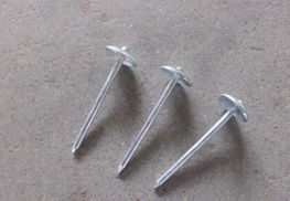 高密瓦楞釘廠 提供優(yōu)質產品與定制化服務的一站式解決方案