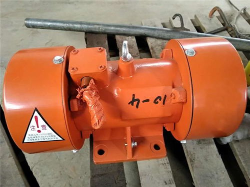 湖南立式振動電機(jī)廠家 博越電機(jī)設(shè)備公司 立式振動電機(jī)廠家供貨