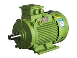 東莞電機丨高壓電機滾動軸承異常分析圖片|東莞電機丨高壓電機滾動軸承異常分析產(chǎn)品圖片由東莞電機廠公司生產(chǎn)提供-