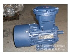 熱銷商品防爆調(diào)速電機(jī),熱銷商品防爆調(diào)速電機(jī)生產(chǎn)廠家,熱銷商品防爆調(diào)速電機(jī)價(jià)格