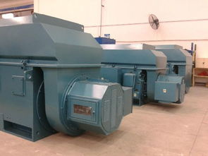 重慶賽力盟電機(jī)有限責(zé)任公司的電動機(jī)制造生產(chǎn)設(shè)備